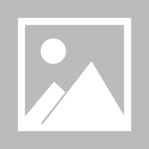 世界杯高清直播平台官网下载安装-【早报】拜仁晋级德国杯四强